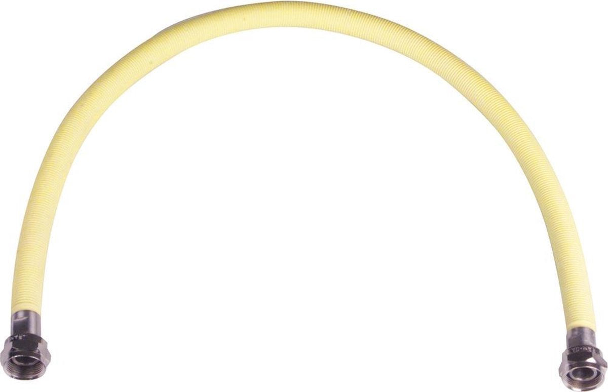 Raminex Gasslang 100 Cm RVS-flex