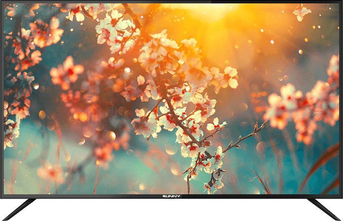 Sunny SN55UIL - 55 inch - 4K LED - 2021