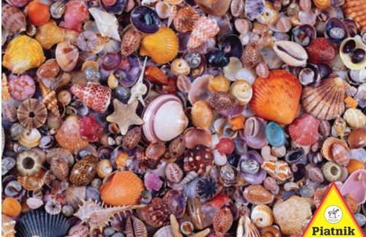 Puzzel Piatnik Schelpen (1000)