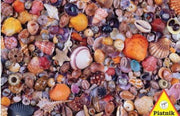 Puzzel Piatnik Schelpen (1000)