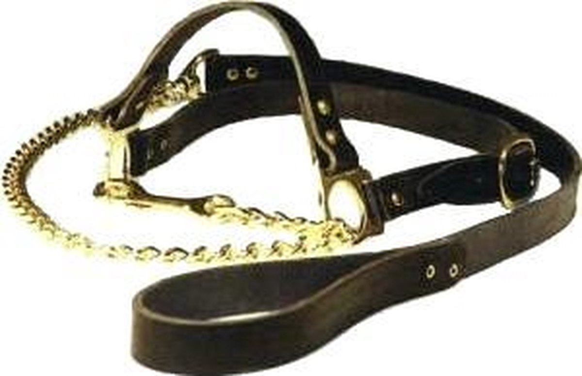 Keuringshalster met ketting