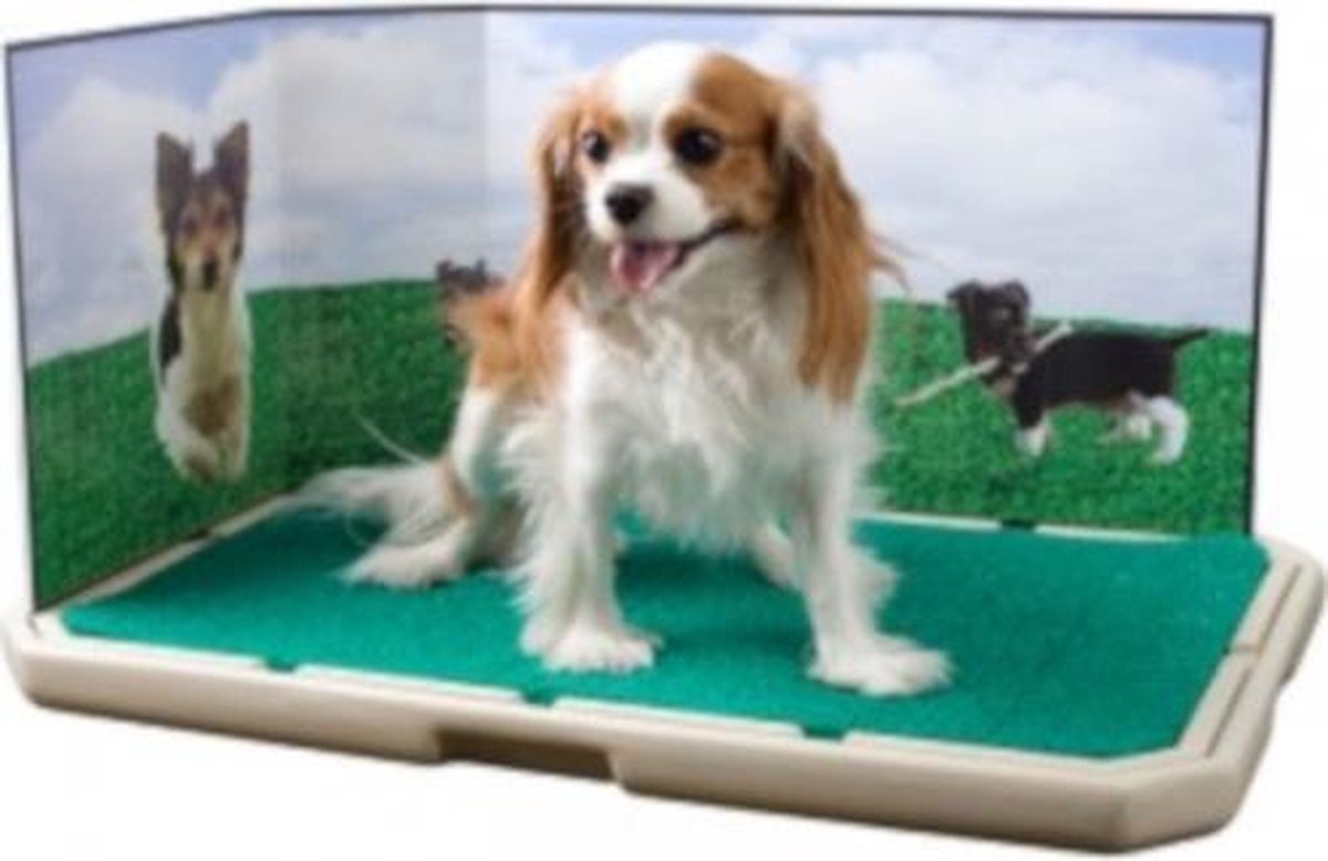 Petsafe Zindelijkheidsmat Piddle Place 76