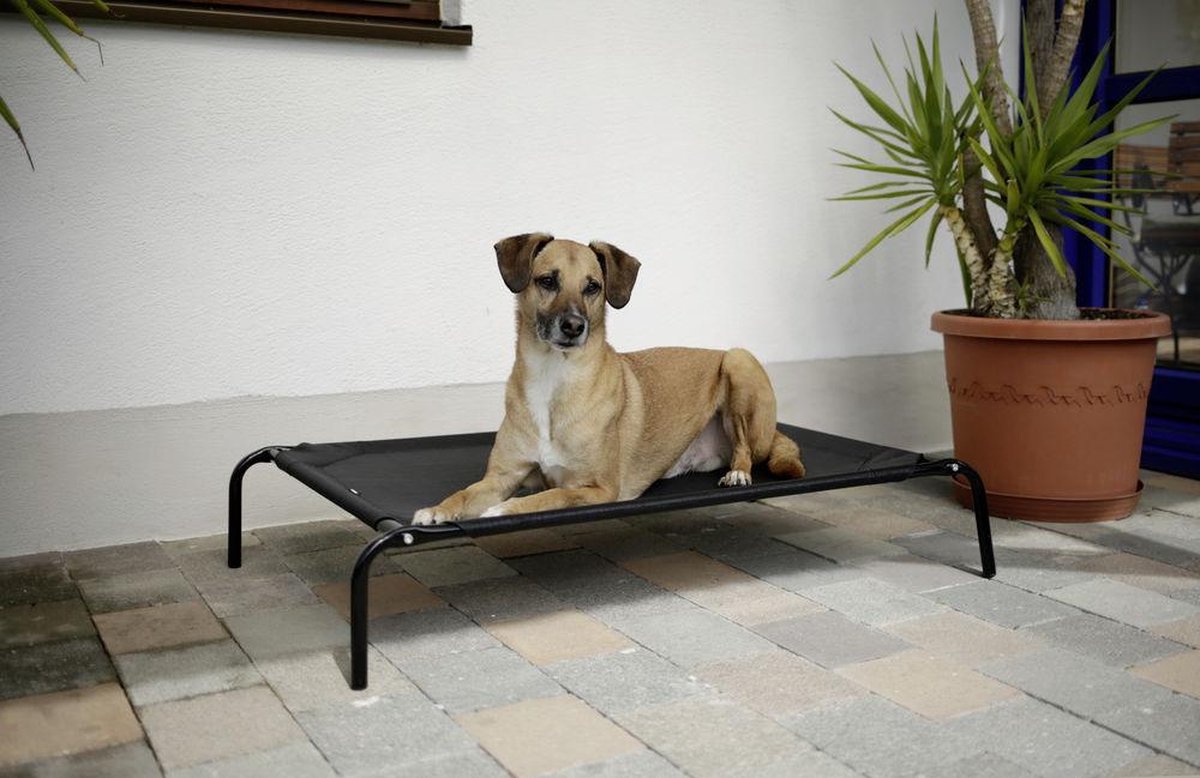 Hondenstretcher Vacation "Zwart" (107*65*20) - hondenbed - honden ligbed