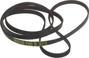 UNIVERSEEL - SNAAR POLY-V 1915 H7 ELASTISCH - 481281718181