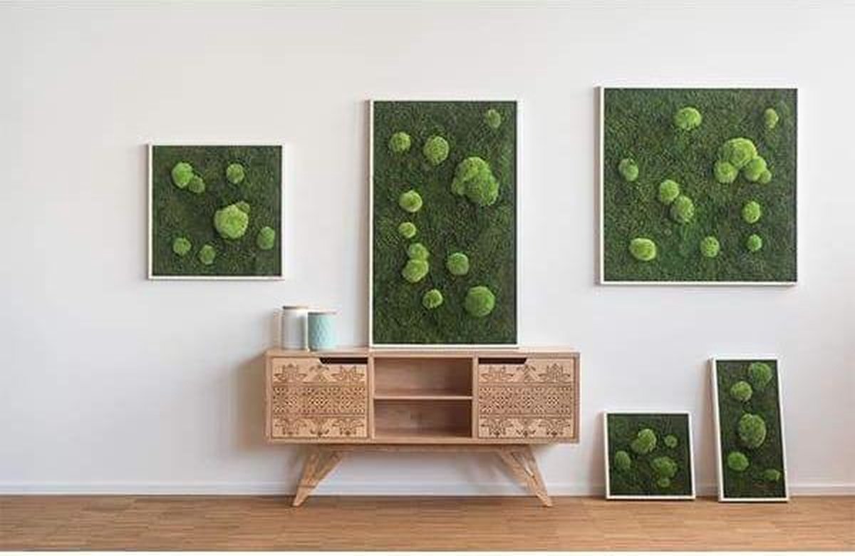 Stylegreen Verticale tuin - Forest & Pole moss - 80 x 80cm