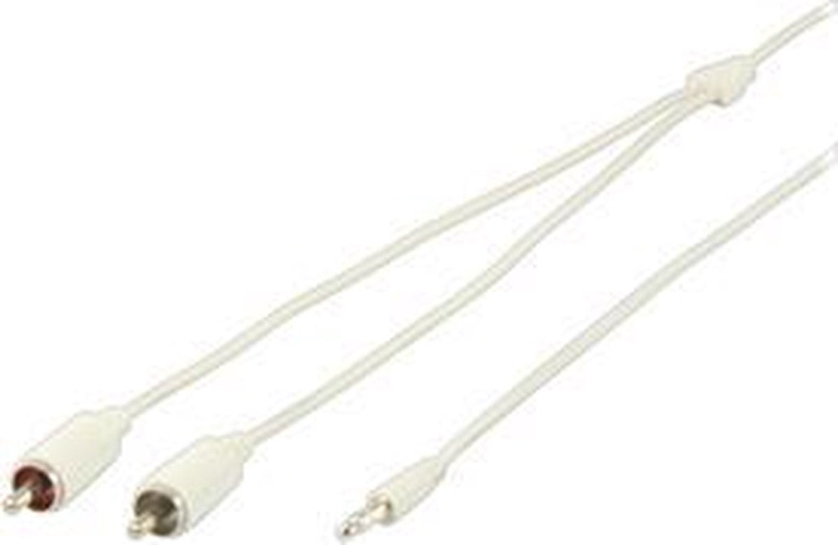 3.5 mm naar RCA audiokabel 1