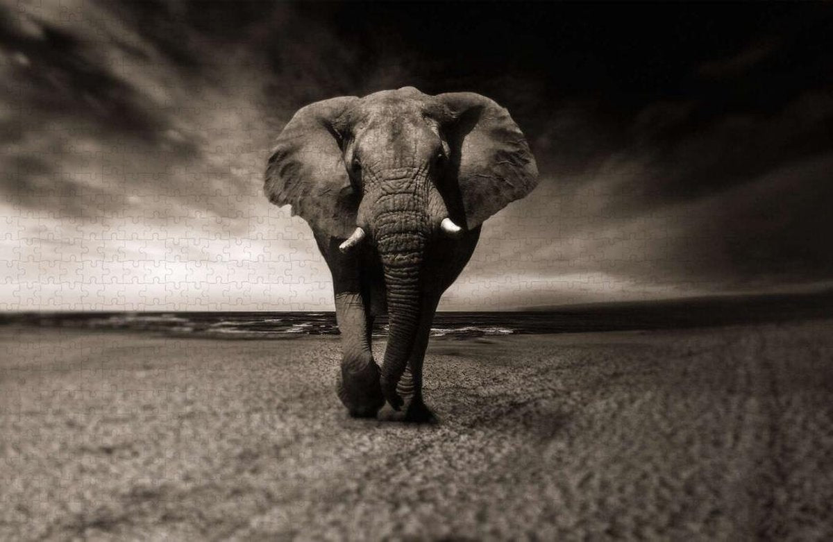 Olifant op Puzzel - Zwart Wit - Afrika - Puzzel 1000 Stukjes