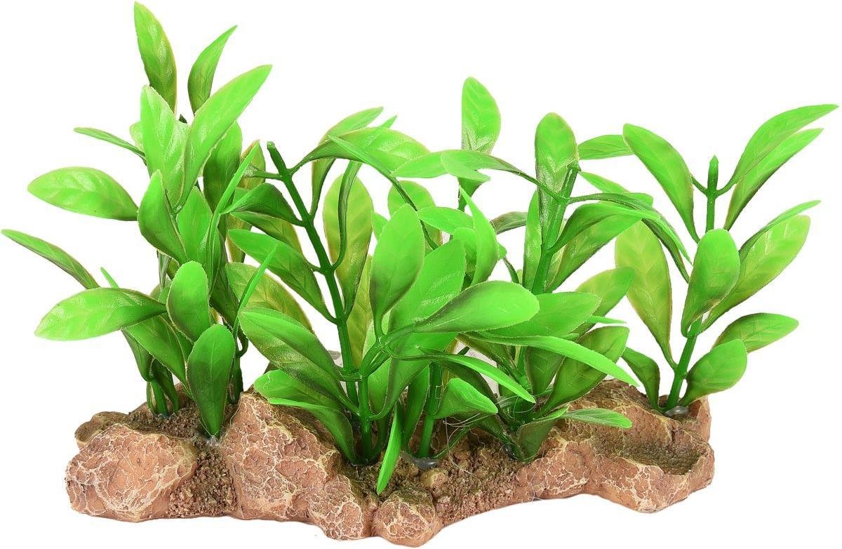 Aquarium Umbra plant - Groen - 15 x 7 x 9 cm