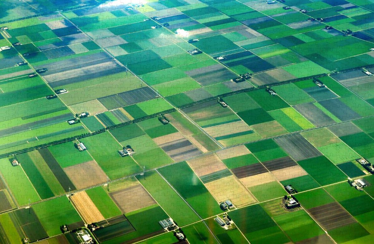 Platteland Nederland - Puzzel 1000 stukjes