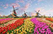 Traditionele Nederlandse Windmolens in de Tulpen - Moeilijke Puzzel 1000 Stukjes | Zaandam - Tulpenveld - Nederland