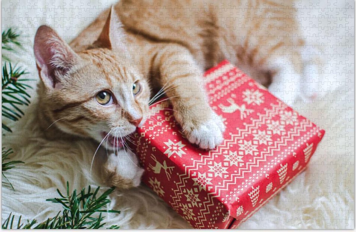 Poes met Cadeau | Legpuzzel - Moeilijke Puzzel 1000 stukjes