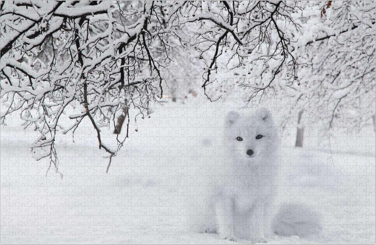 Witte Vos op Puzzel - Sneeuw - Bos - Moeilijke Puzzel 1000 Stukjes