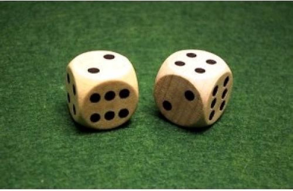 Hot games Dobbelstenen 12 stuks blank hout 16mm