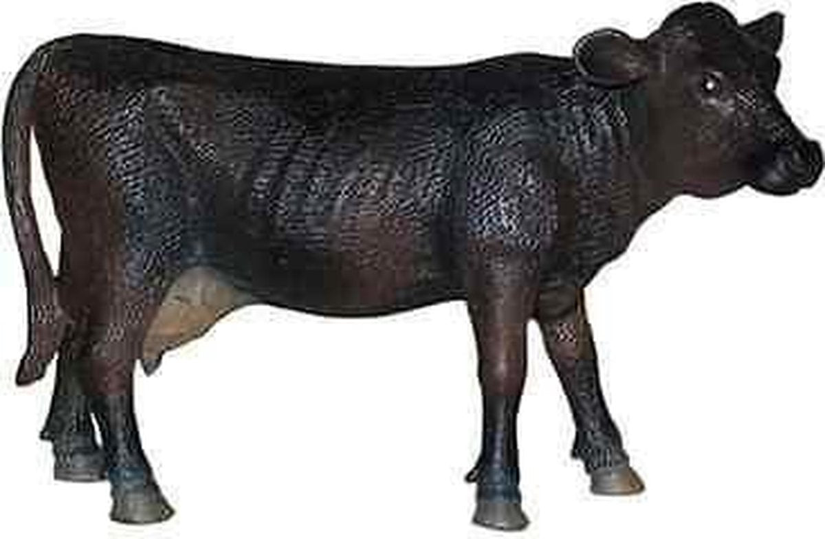 Animal classic - Angus koe