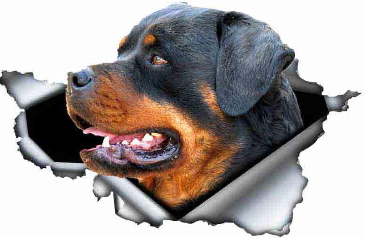 Rottweiler 3D Sticker/muur/boot/scooter/auto