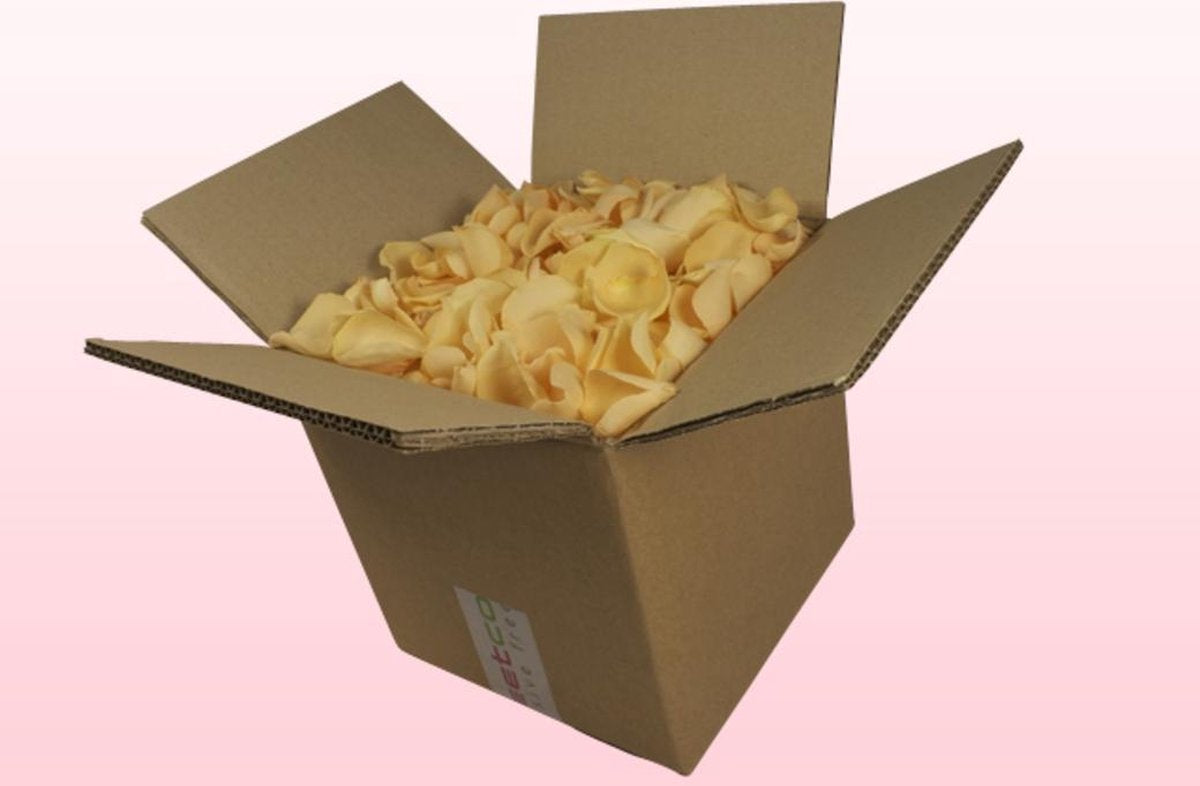 Echte rozenblaadjes - Kleur Zalm - 8 liter doos - 100% natuurlijk