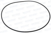 Yanmar O-RING 2GM20F-YEU