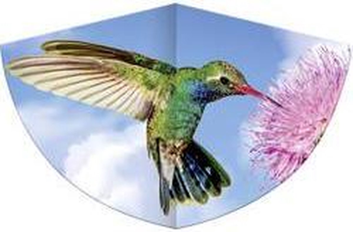 Günther Flugspiele Eenlijns Vlieger KOLIBRI Spanwijdte 750 mm Geschikt voor windsterkte 3 - 6 bft