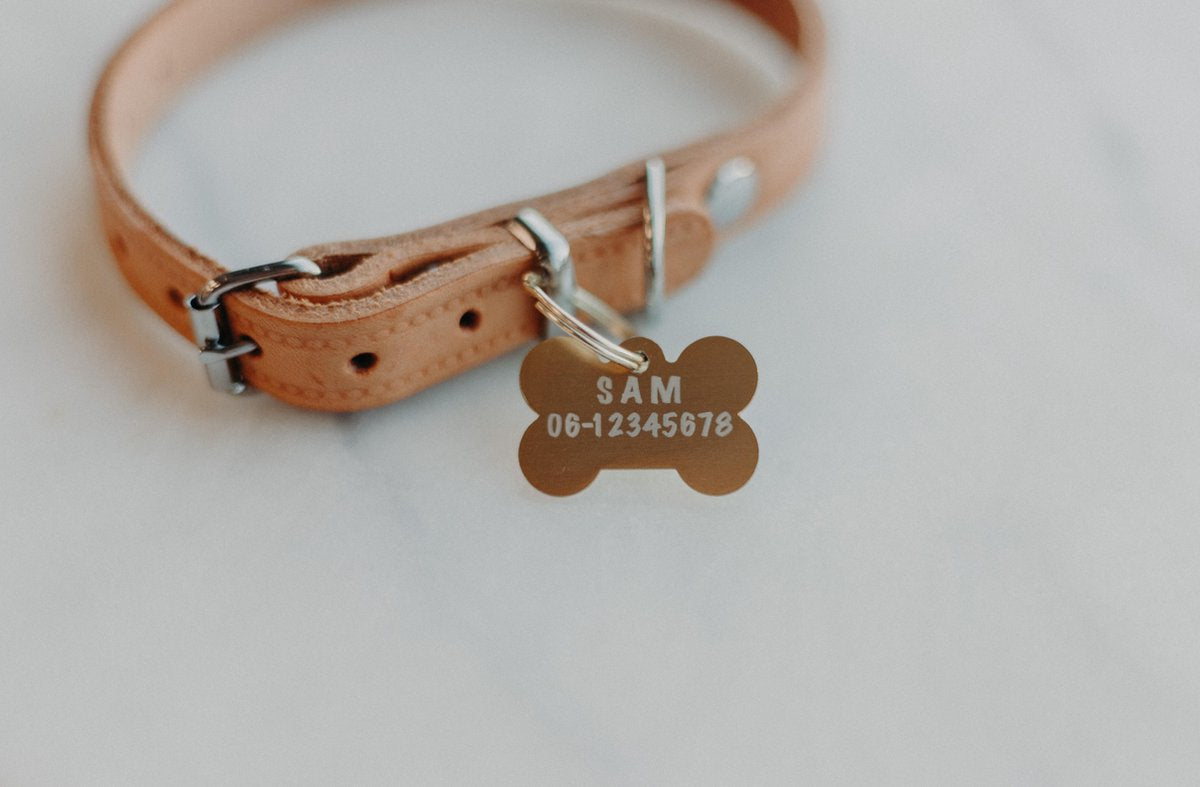 Hondenpenning groot goud | 2 zijden graveren | 40x28 mm