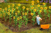 Faller - 16 Zonnebloemen
