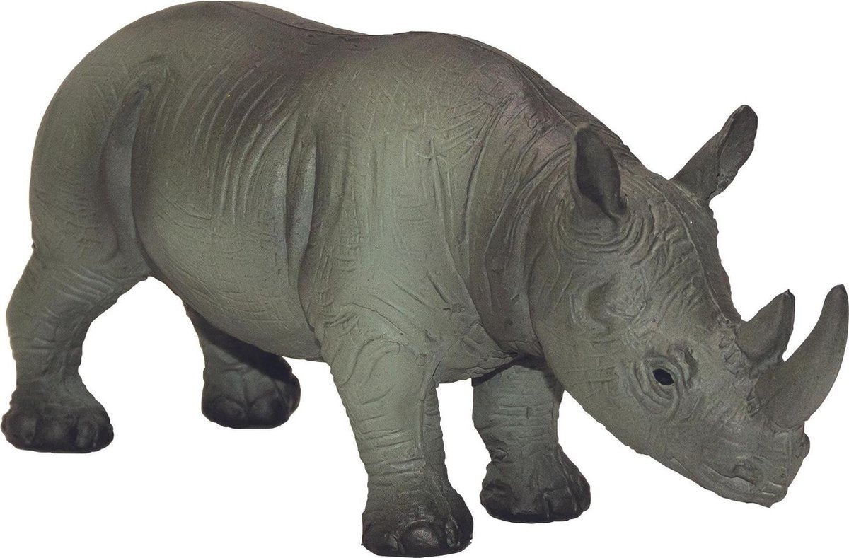 Neushoorn Rhino