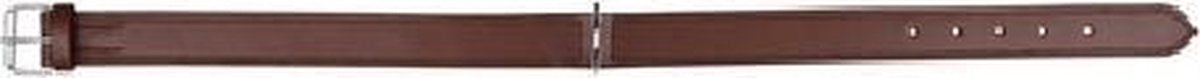 Trixie halsband voor hond  active leer cognac 52-63x3 cm