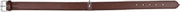 Trixie halsband voor hond  active leer cognac 52-63x3 cm