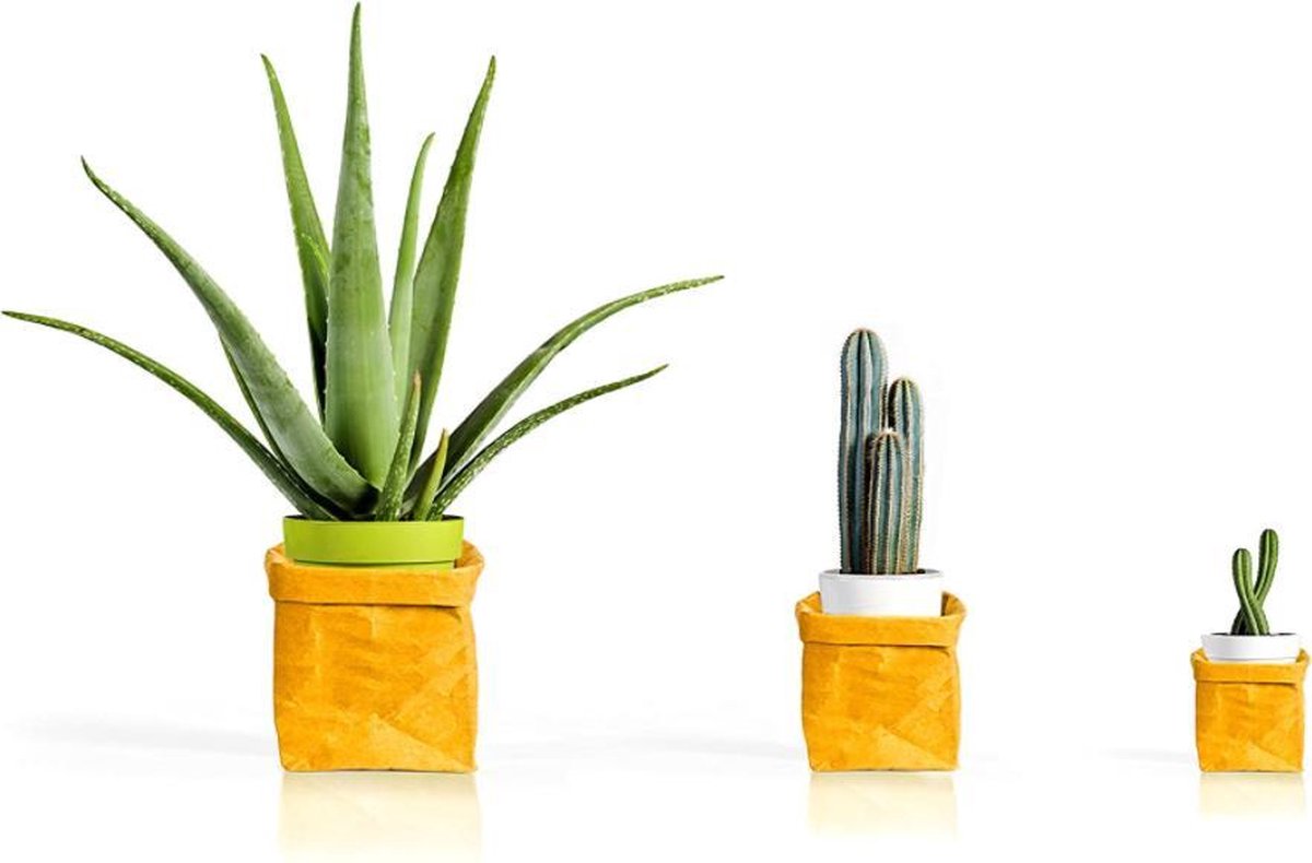 Pusher Design Passepartout Organizer en Bloempot