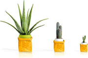 Pusher Design Passepartout Organizer en Bloempot