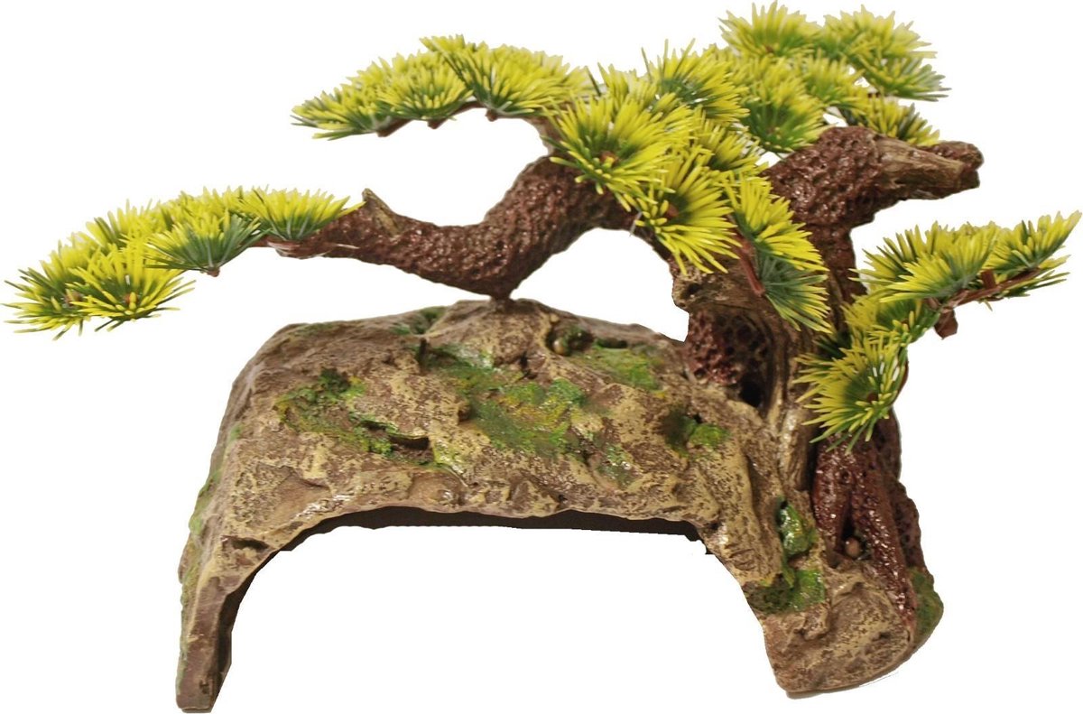 Bonsai boom met schuilplaats 24x16x12 cm