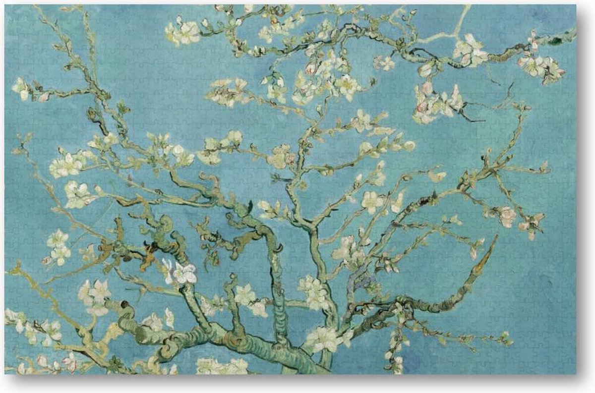 Amandelbloesem - Vincent van Gogh - 1000 Stukjes puzzel voor volwassenen - Meesterwerken - Natuur - Bloemen - Vincent van Gogh