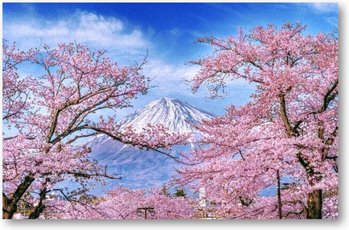 Fuji-berg en kersenbloesems in de lente