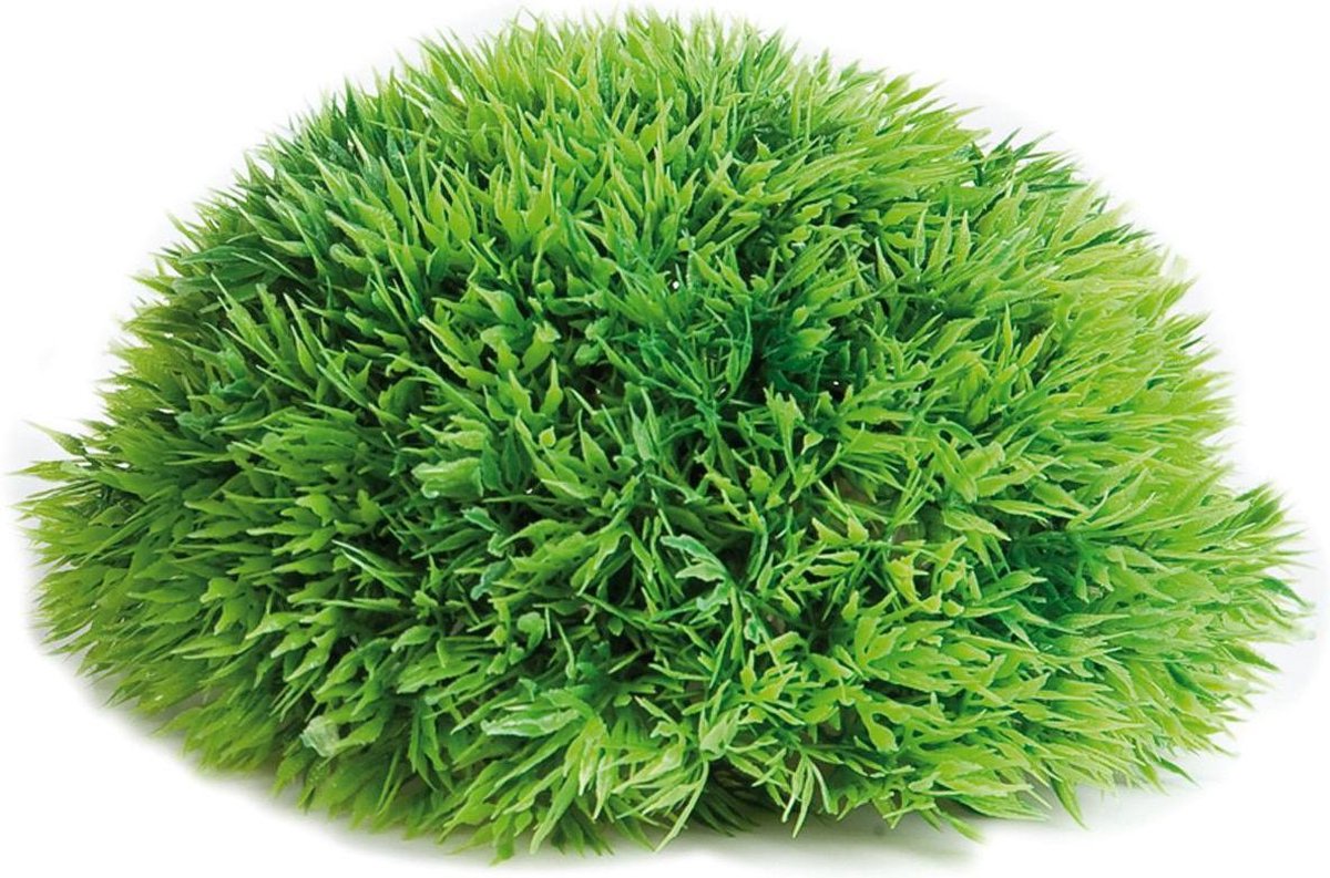 Aquarium plant Halve Mosbal - dia 17 cm
