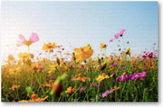 Bloemen in veld met zonsondergang - 1000 Stukjes puzzel voor volwassenen - Natuur - Bloemen