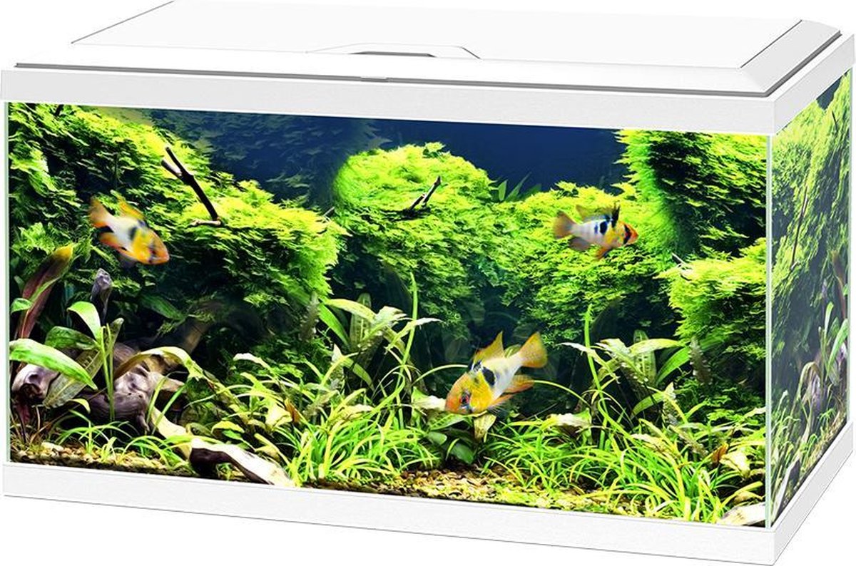 Ciano Aquarium Aqua 60 LED CF150 Wit