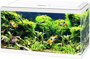 Ciano Aquarium Aqua 60 LED CF150 Wit