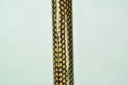 Opvouwbare wandelstok - anatomisch  - snake - 84-94 cm - rechtshandig