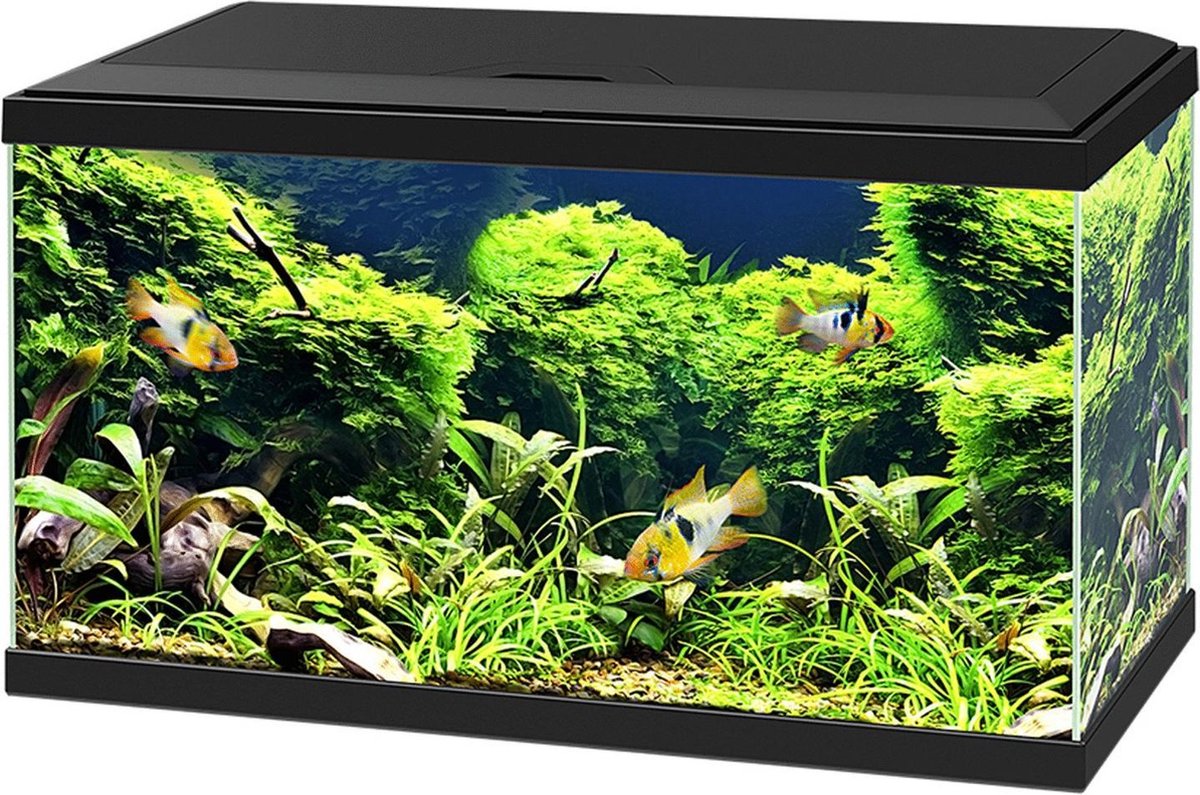 Ciano Aquarium 60 Led Cf80 60x30x34 cm - Aquaria - Zwart