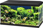 Ciano Aquarium 60 Led Cf80 60x30x34 cm - Aquaria - Zwart