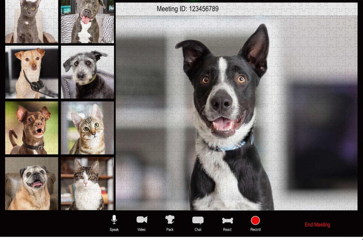 Videobellende honden | Videobellen | Honden - Moeilijke Puzzel 1000 stukjes