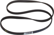 UNIVERSEEL - SNAAR POLY-V 1228 J5 ELASTISCH - 55X3417