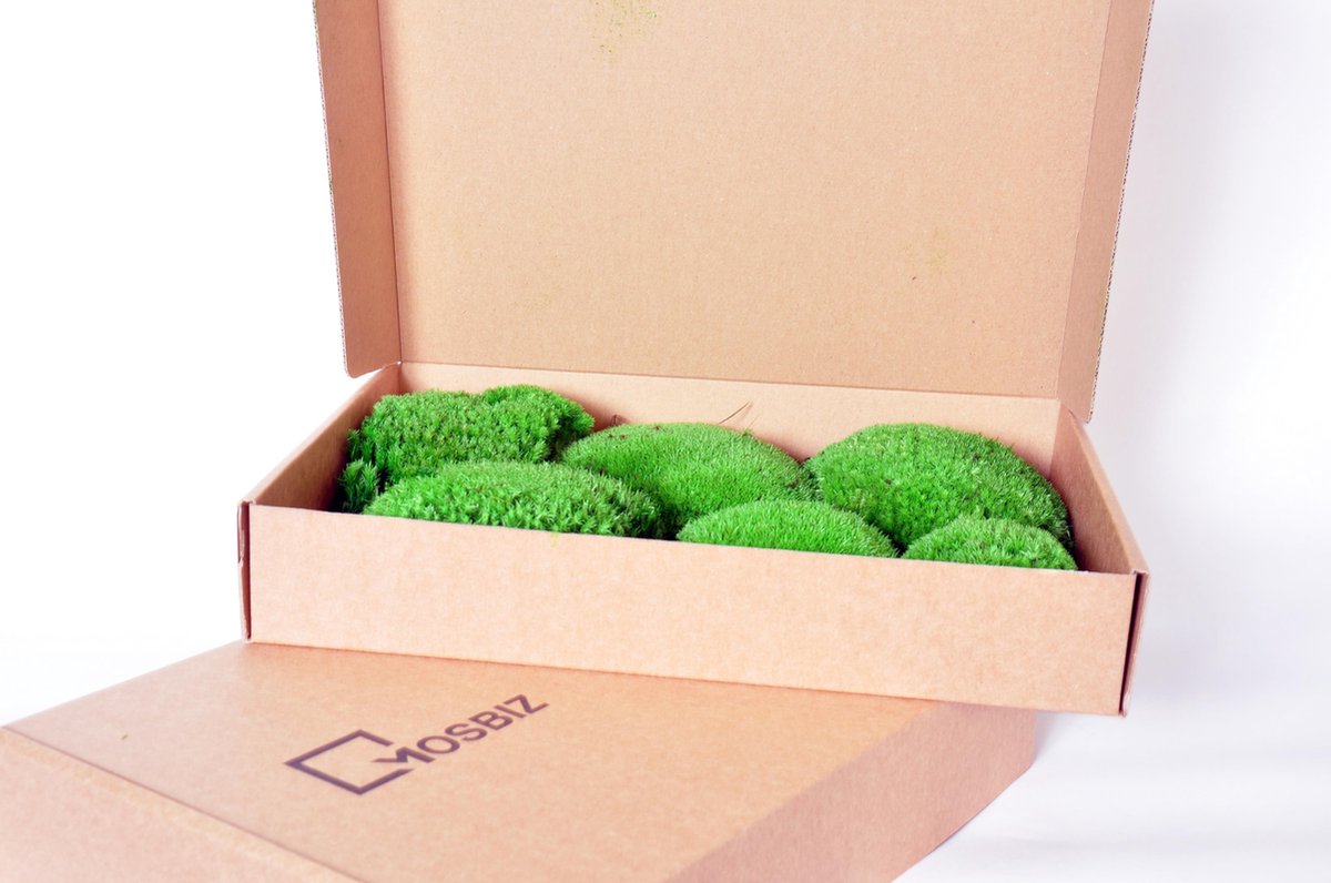 Bolmos| groen| 0