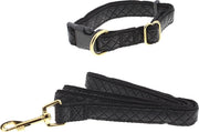 Bella & Max hondenriem + halsband