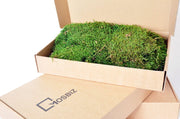 Lappenmos| platmos| geprepareerd |250gram