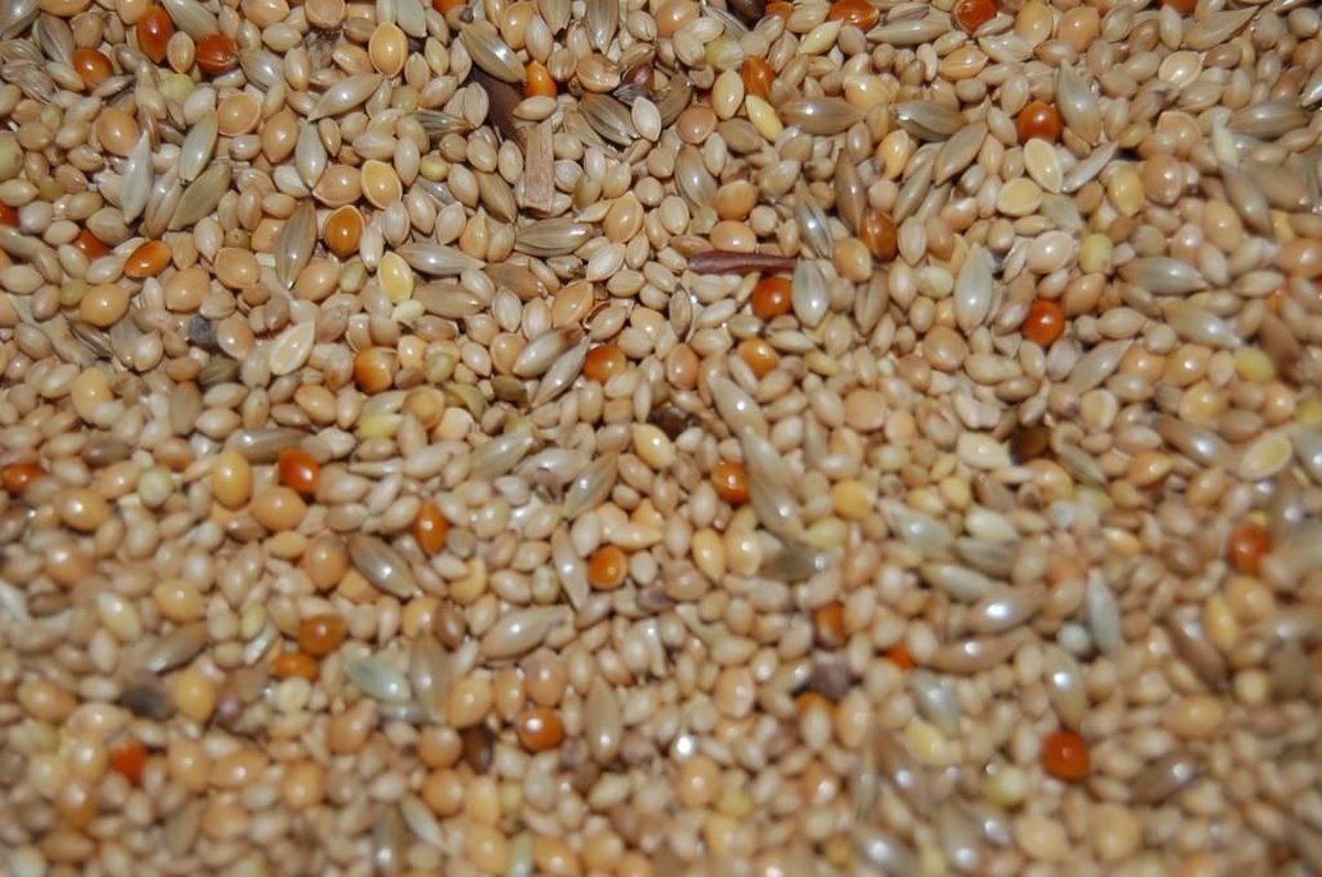 Tropisch zaad 20KG
