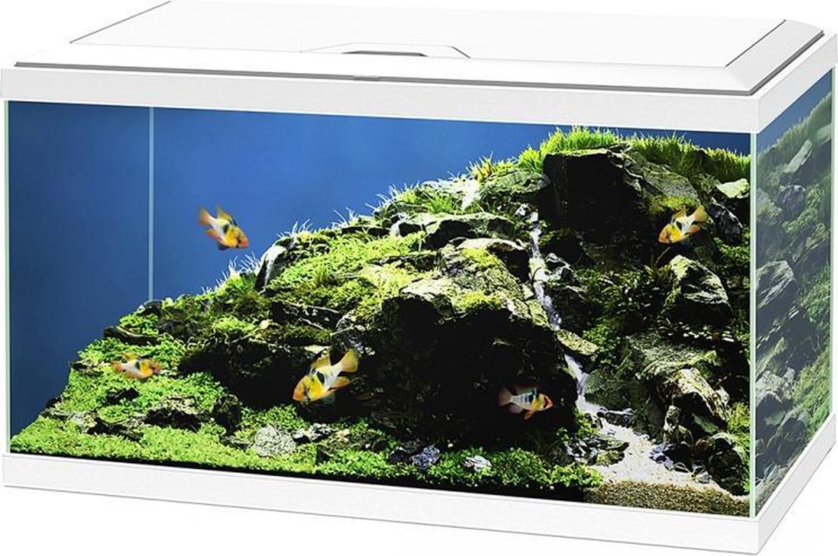 Ciano Aquarium aqua 60 led bio cf150 Wit 60x30x41cm