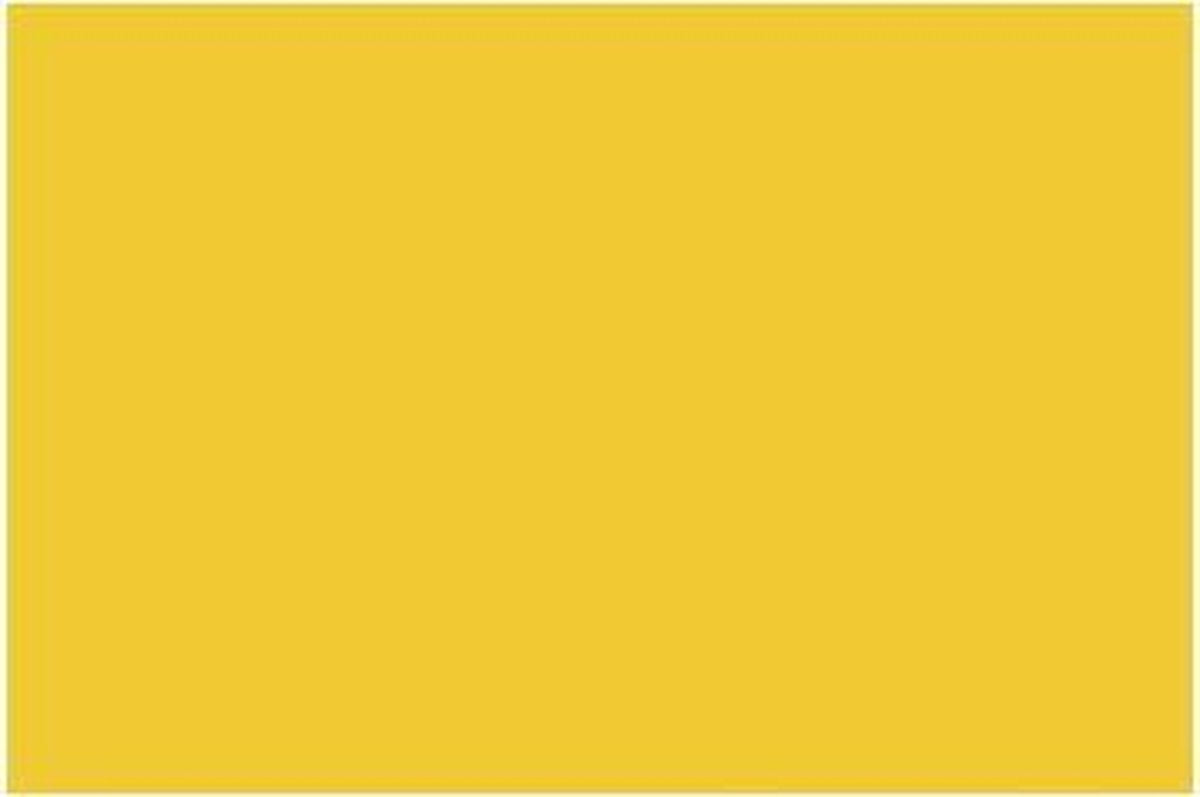 Folia FO-612515 Fotokarton 50x70cm 300gr Pak A 25 Vel Goudgeel