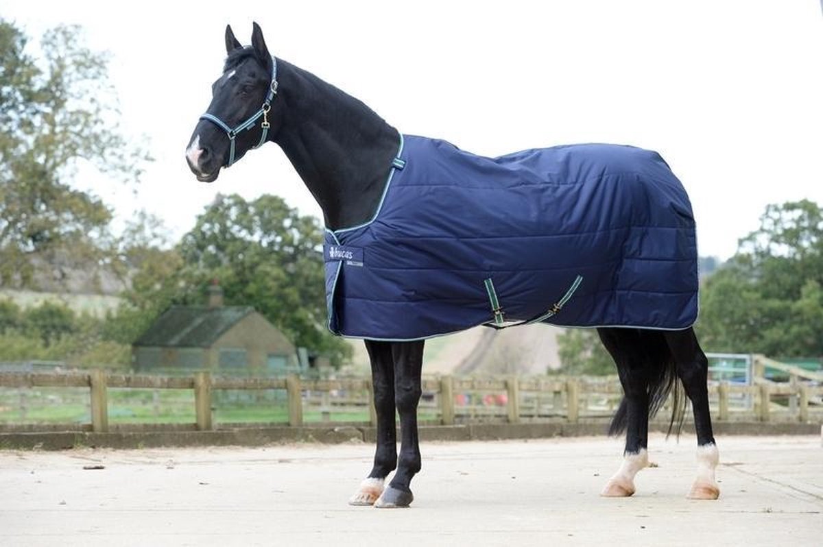 Bucas Bucas Quilt 150 SD Staydry 107 Blauw