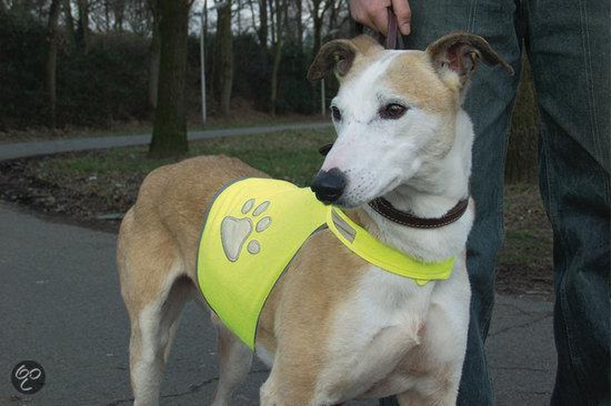 Veiligheidsvest - hond reflect s