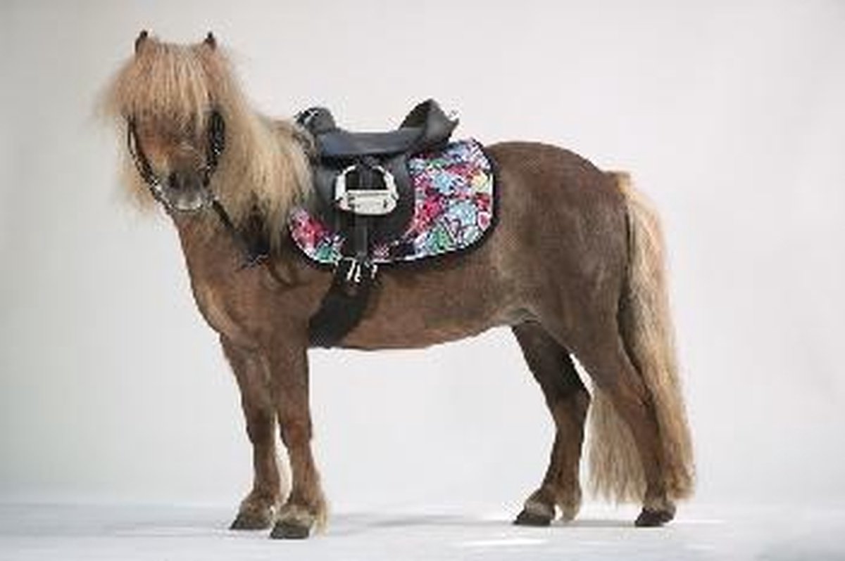 Zadeldek Disney Mouse pony vz